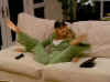 JessicaSimpson_WatchingPorn.jpeg (10608 bytes)